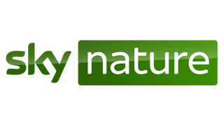 Sky Nature